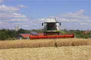 Ein Claas Mähdrescher