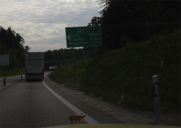 Ein Polnischer LkW kurz vor der letzten Autobahnausfahrt in der Schweiz