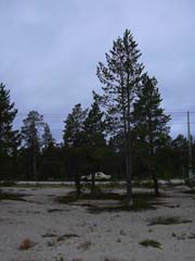 Der Daimler am wunderschönem Sandstrand in Finnland