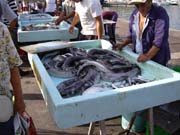 Fischh&auml;ndler im Hafen